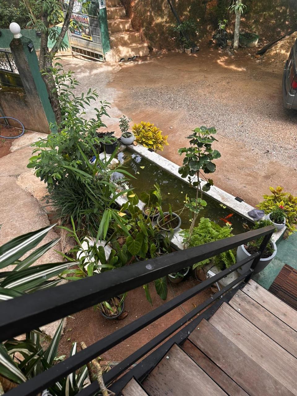 Senasuma Homestay Ella Exterior photo